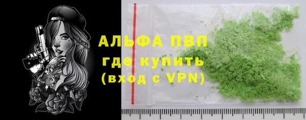 a pvp Магас