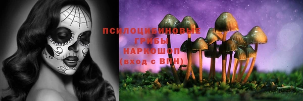 спайс Магадан