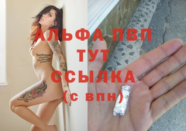 a pvp Магас